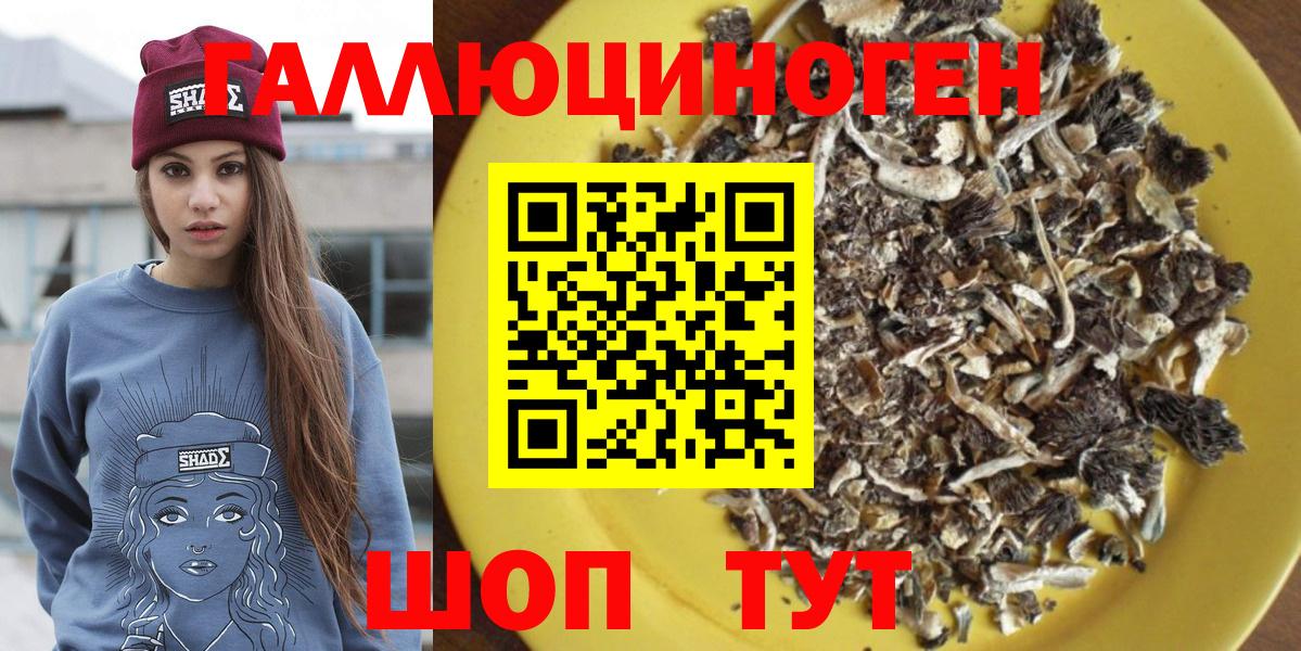 Галлюциногенные грибы Psilocybe Сертолово