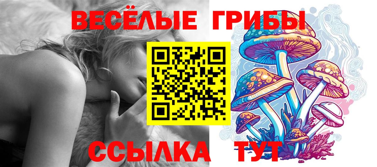 Сертолово  Псилоцибиновые грибы MAGIC MUSHROOMS  Вход с VPN  Галлюциногенные грибы прущие грибы 