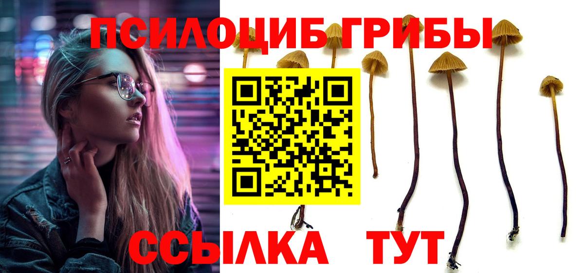 Кокаин Сертолово